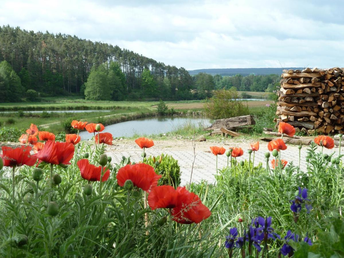 Ferienwohnungen Am Buechlhof Im Oberpfaelzer Seenland Neunburg vorm Wald Eksteriør billede