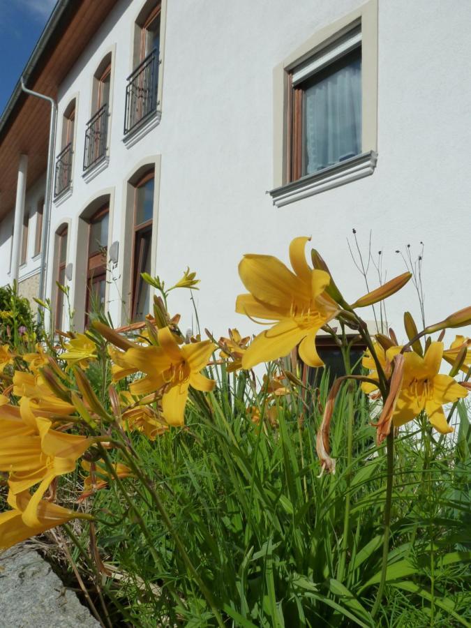 Ferienwohnungen Am Buechlhof Im Oberpfaelzer Seenland Neunburg vorm Wald Eksteriør billede